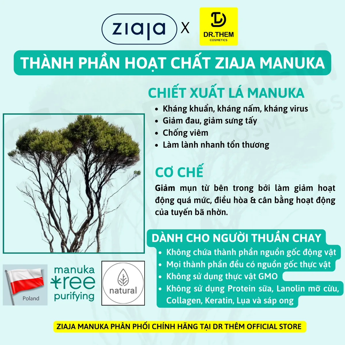 Kem Chấm Mụn Ziaja Manuka Tree Reduktor Zmian Potradzikowych Hỗ Trợ Giảm Mụn Nồng Độ Hoạt Chất Cao 15ml 5